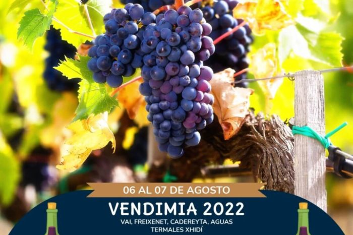 Vendimia 2022